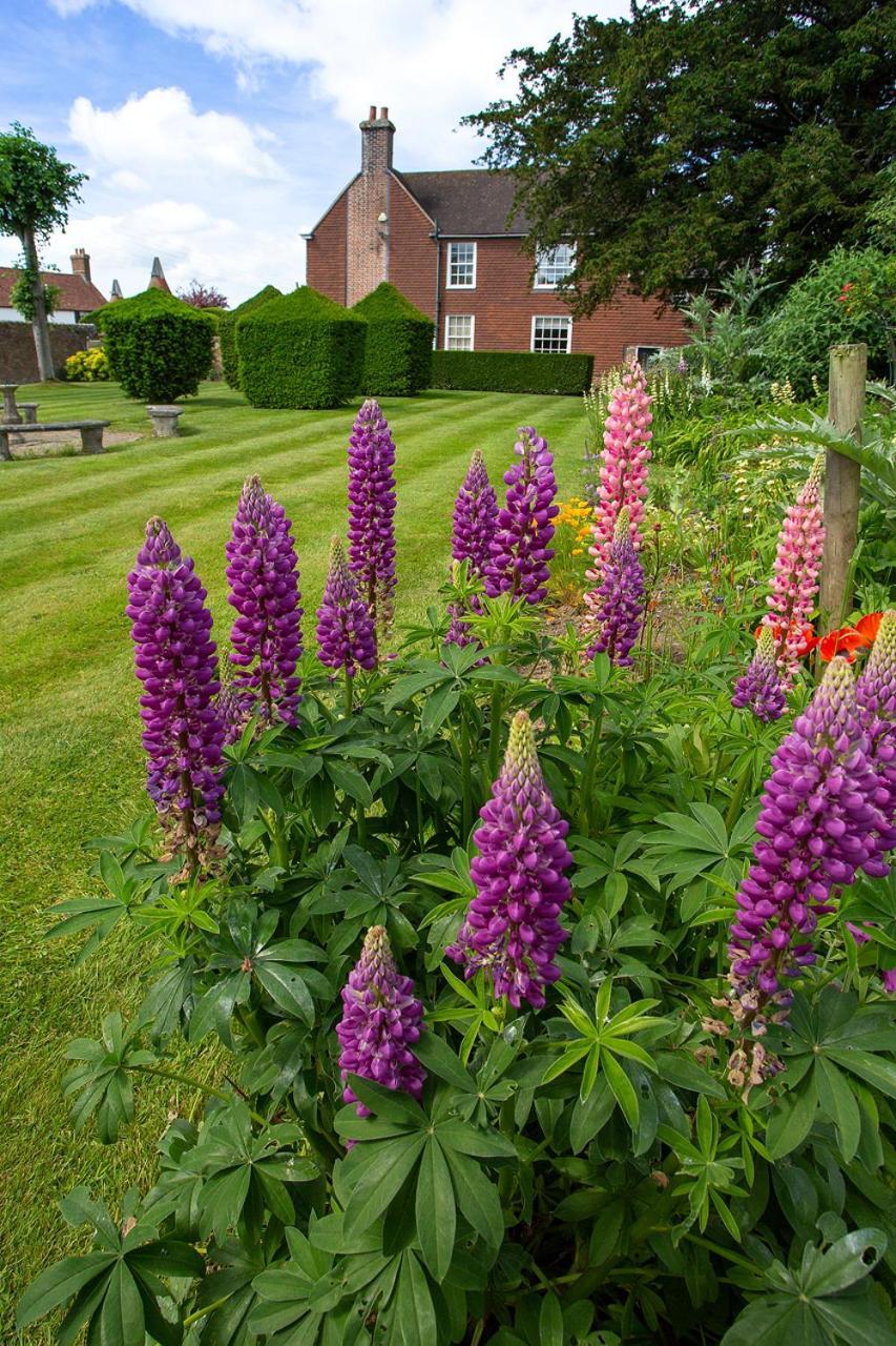 Boreham House Herstmonceux Экстерьер фото
